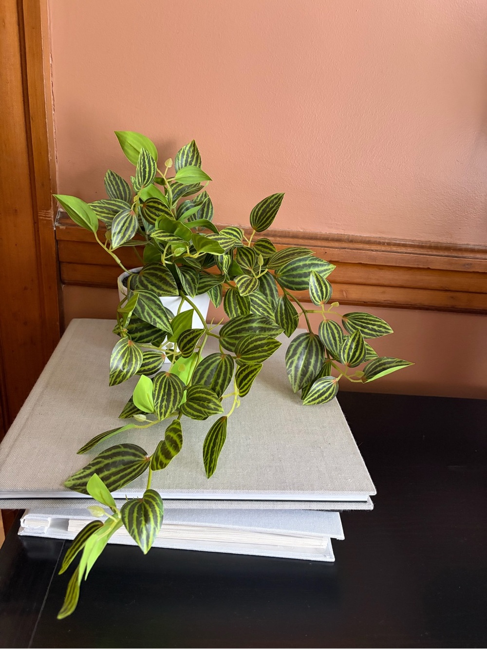 Green Trailing Peperomia Plant - Artificial Home Accent